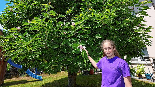 Grün tut gut: Die elfjährige Laura hat an der Magnolie im Garten ihrer Eltern in Allmannsdorf viel Freude. Bald soll es schwieriger ...