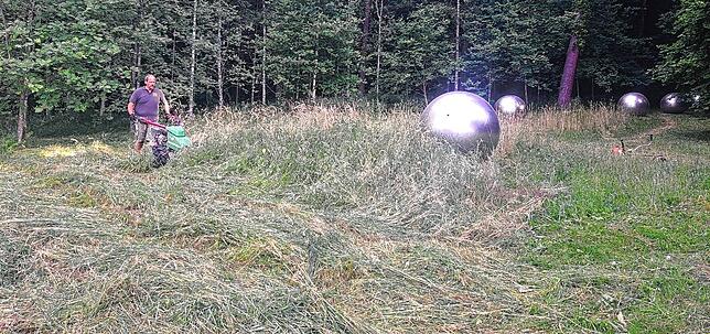 Ein Mitarbeiter der Stadtgärtnerei mäht mit einem Balkenmäher das rund 2000 Quadratmeter große Areal an der Gedenkstätte. Nach Trocknung ...