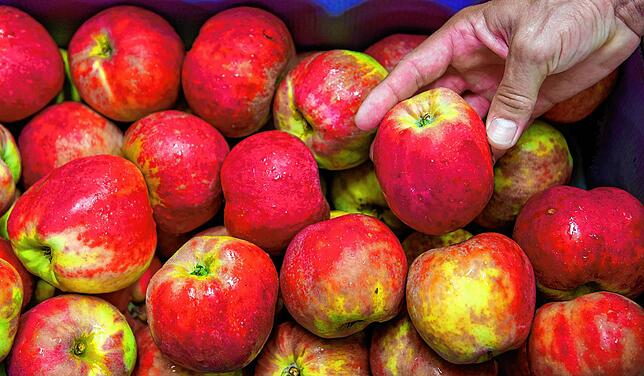 Für Äpfel müssen die Verbraucher derzeit knapp ein Viertel mehr bezahlen.