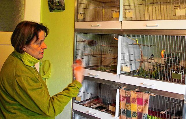 Im gesamten Wohnhaus hat Yvonne Bütehorn von Eschstruth Krankenstationen für verletzte Wildtiere – hier sind es kleine Vögel ...