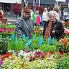 Ein Markt mit Ereignischarakter: Der Geranienmarkt 2019.