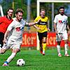 Bild :