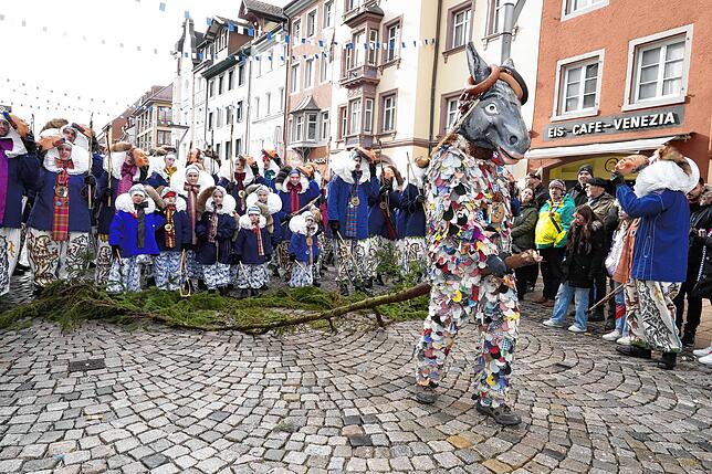 Bild 32: Montags-Umzug der Narrozunft, Teil 3