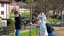 Schülerinnen und Schüler der Fürstabt-Gerbert-Schule in St.¦Blasien helfen bei der Baumpflanzaktion auf dem Mehrgenerationenspielplatz ...