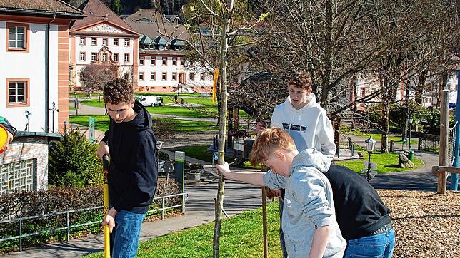 Schülerinnen und Schüler der Fürstabt-Gerbert-Schule in St.¦Blasien helfen bei der Baumpflanzaktion auf dem Mehrgenerationenspielplatz ...
