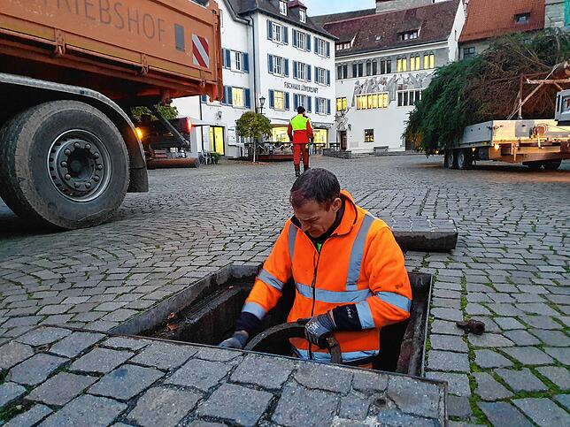 Bild 1: Der Weihnachtsbaum auf der Hofstatt steht