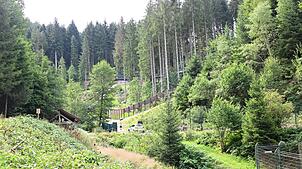 Wildbärin Gaia lebt künftig in einem Hochsicherheitsgelände im Bärenpark Schwarzwald.