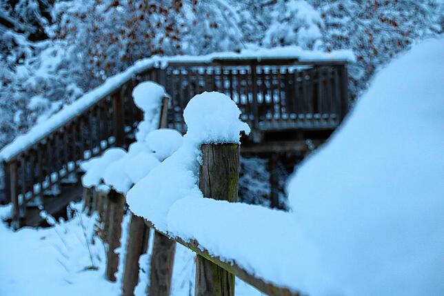 Bild 7: Schöne Seiten des Schnees: Bilder vom Winterwunderland Hegau, Radolfzell, Höri und Raum Stockach