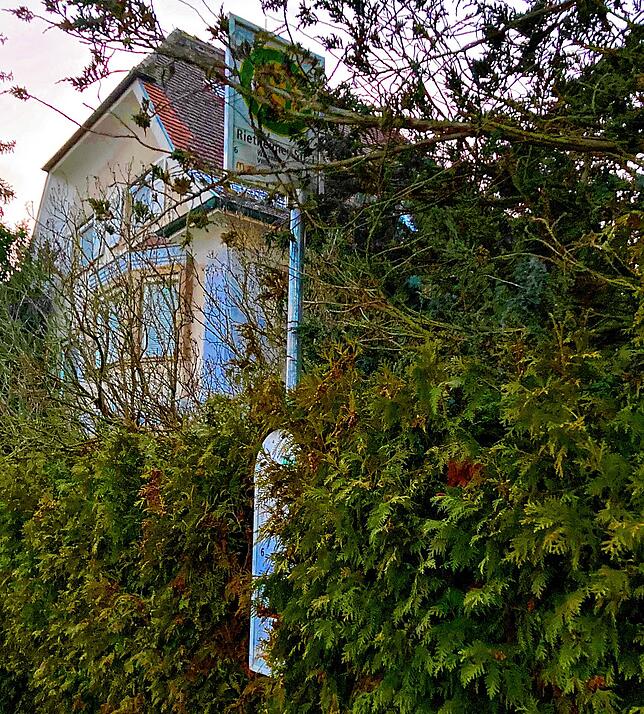 Die Haltestelle in der Rietheimerstraße 1 könnte übersichtlicher sein, zu viel Grün hat sich der Haltestelle bemächtigt.