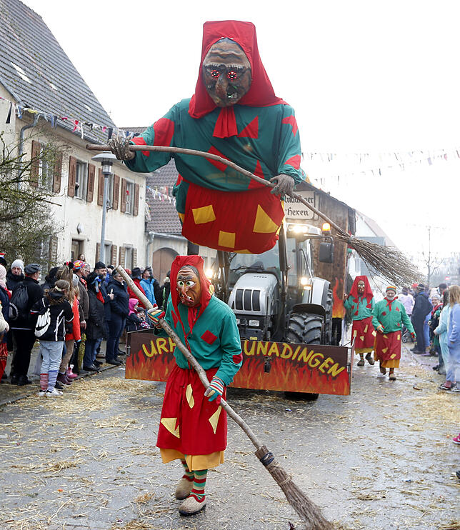 Bild 27: Bilder zum großen Narrentreffen in Pfohren (4)