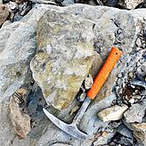 Fragment eines Riesenammoniten, der im Alpstein gefunden wurde: Vor mehr als 100 Millionen Jahren waren diese Tiere hier heimisch.