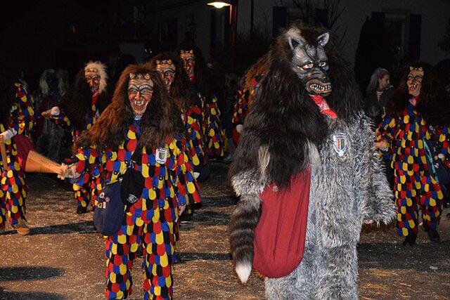 Bild 18: Großes Narrentreffen in Volkertshausen: Alle Bilder vom Nachtumzug (2)