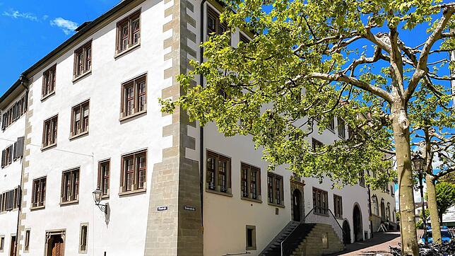 Vor dem Amtsgericht Radolfzell ist ein 19-Jähriger wegen der Verbreitung von Kinderpornografie angeklagt. Im Laufe der Verhandlung macht ...