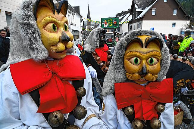 Bild 20: Bilder vom Pfrieme-Stumpe Jubiläumsumzug in Tennenbronn