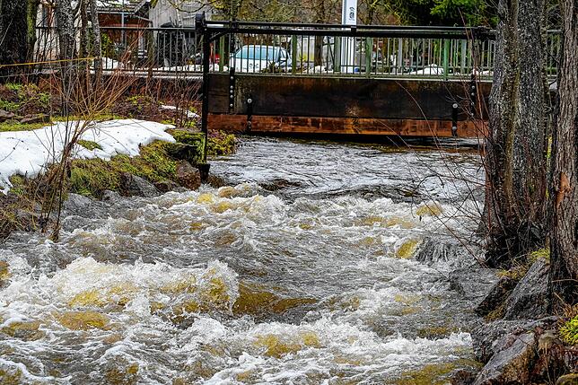 Schäumende Fluten im Hörnlebach in Königsfeld-Burgberg.
