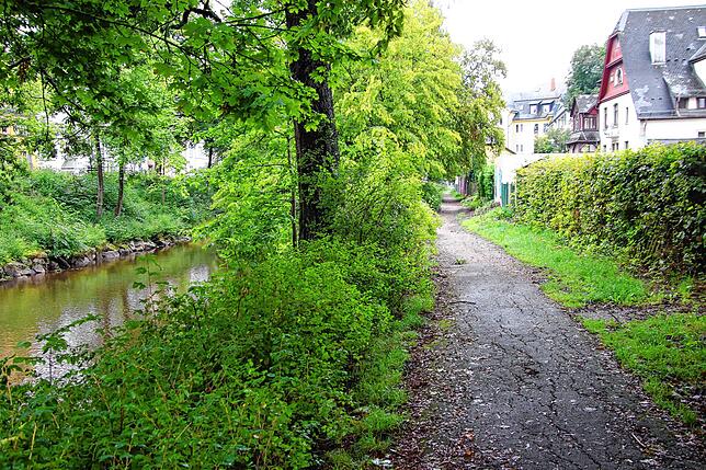 Dieser schmale Radweg an der Brigach zwischen der Brücke am Stöckerbergle und der Bickenstraße wird in den nächsten Wochen verbreitert, ...