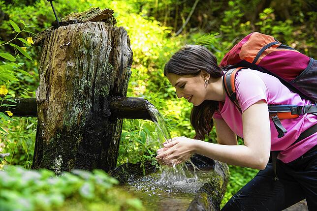 Eine dankbare Erfrischung im Biosphärengebiet Schwarzwald für SÜDKURIER-Mitarbeiterin Vanessa Rottig. Schmale Felsensteige und viele ...