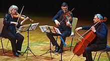 Das Rabus-Streichtrio mit Kathrin Rabus an der Violine, Volker Jacobsen an der Viola und Leonid Gorokhov am Cello. Foto: Frey
