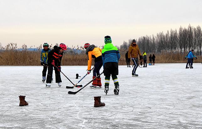 Bild 6: Tausende Eisläufer auf dem Gnadensee neben dem Inseldamm zur Reichenau: Verwirrung herrscht darüber, ob dies überhaupt erlaubt ist