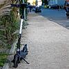 (Archivbild) Ein elektrischer Roller von Bird in der Bücklestraße in Konstanz. Mittlerweile sind die Modelle des US-Konzerns von den ...