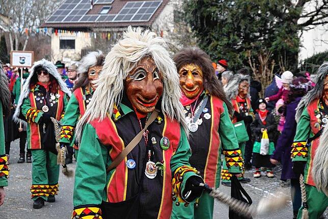 Bild 10: Narrenverein Heuliecher: Die besten Bilder aus dem Jubiläumsumzug