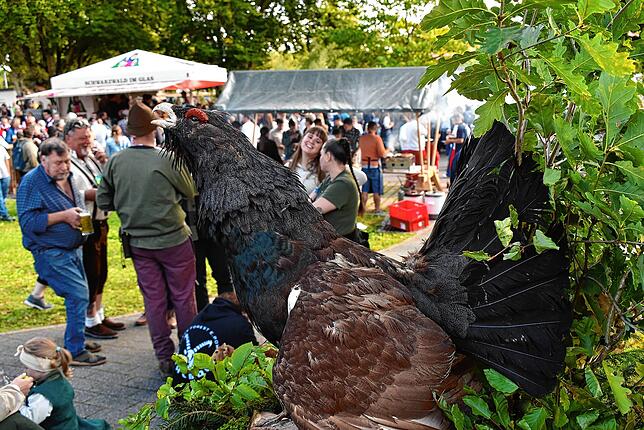 Bild 13: 50-jähriges Jubiläum: Erntedankumzug in Berau