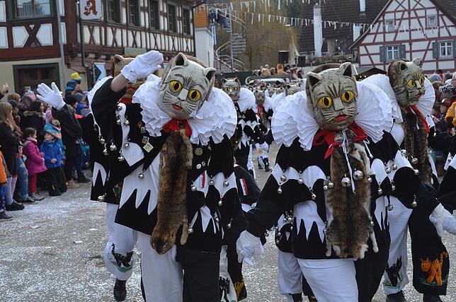 Bild 10: Eigeltinger Narrentage: Der Sonntagsumzug in Bildern (3)
