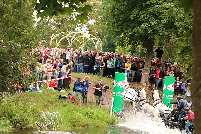Bild 3: Bilder vom Marathon der Vierspänner beim Reitturnier in Donaueschingen