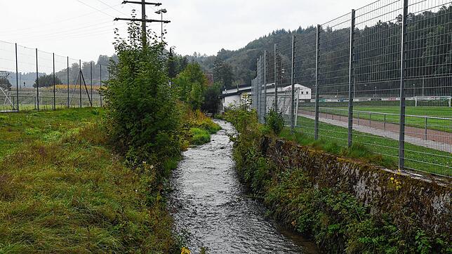 Das Gebiet zwischen Stadtgrenze und Freibad im Osterholz in Stockach soll umgestaltet werden. Die Stadtverwaltung hat sich dafür bei ...