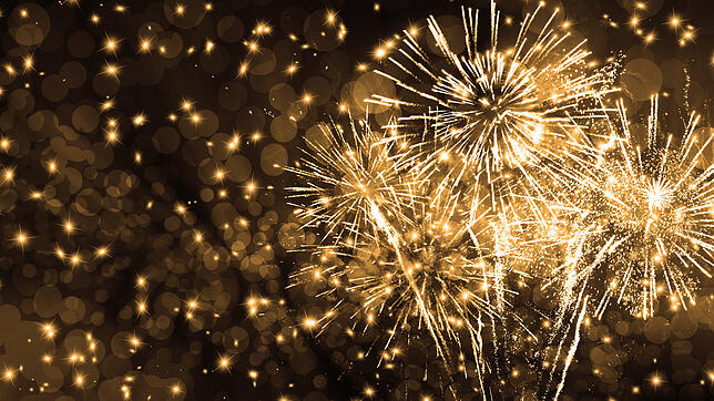 Für viele gehört Feuerwerk unbedingt zu Silvester. Für andere gehört es verboten.
