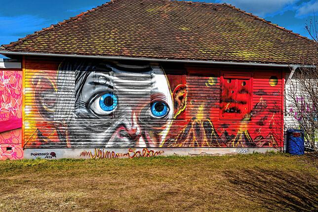 Graffiti-Kunst auf dem ehemaligen Saba Areal. Rund 20 Künstler waren es am Ende; die zusammen mit Jonas Fehlinger und Steffen Schulz an ...