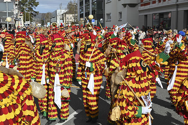 Bild 8: Bilder vom Radolfzeller Fastnachtsumzug