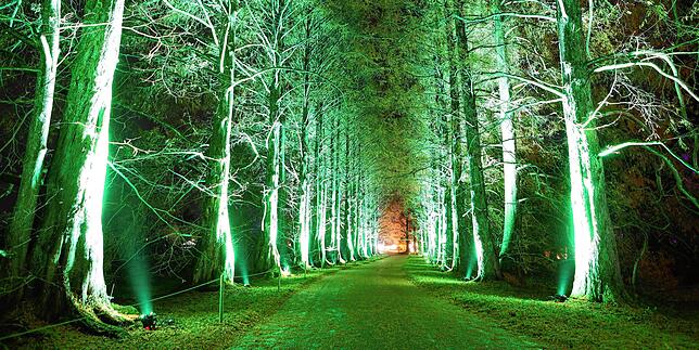 Bild 2: Lichter tanzen auf der Mainau: So haben Sie die Blumeninsel im Bodensee noch nie gesehen