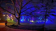 Die Lichter im Stadtpark Ost in Schweizer Rheinfelden waren zauberhaft. Leider haben sie auch Diebe angelockt, die zahlreiche ...