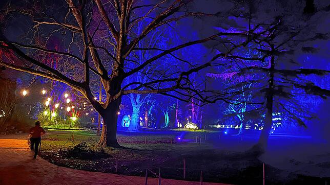 Die Lichter im Stadtpark Ost in Schweizer Rheinfelden waren zauberhaft. Leider haben sie auch Diebe angelockt, die zahlreiche ...