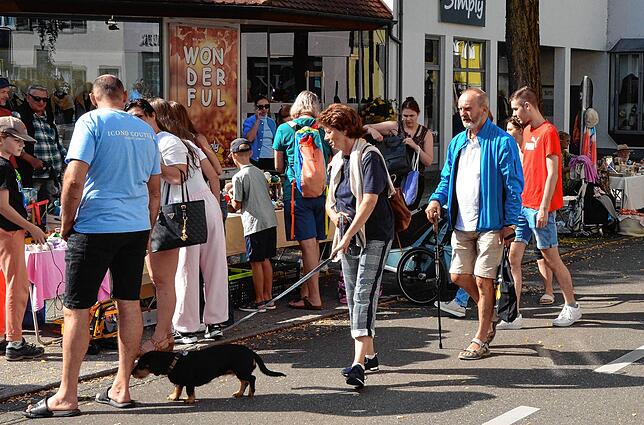 Bild 31: Bilder vom Flohmarkt in Markdorf