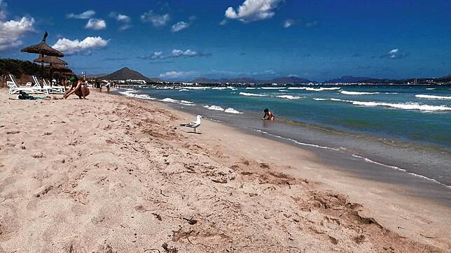 Leere Strände soweit das Auge reicht, wie hier in Muro bei Can Picafort auf Mallorca.