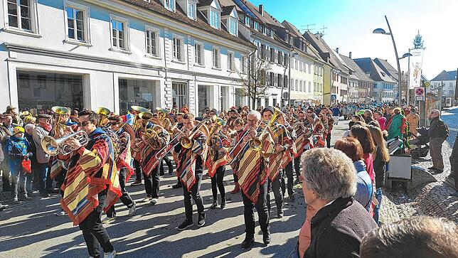 Bild 13: Fasnet 2025: Die besten Bilder vom Umzug in Hüfingen