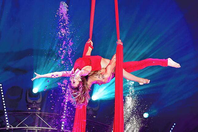 Bild 2: Artisten, Clowns und ganz viel Wasser: Der Zirkus kommt nach Tuttlingen