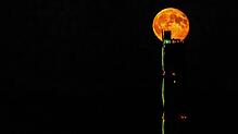 Der Vollmond geht in einer Supermond-Konstellation am TK Elevator Testturm in Rottweil auf.