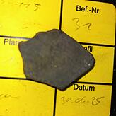 Diese Keramikscherbe können die Archäologen aufs 11. Jahrhundert datieren – ein erster Beleg für das Alter der Anlegestelle.