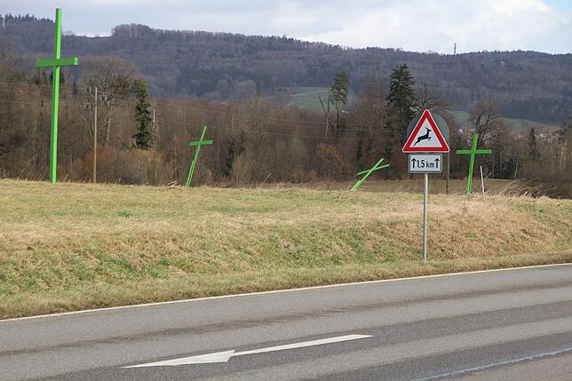 Kurz vor Ittendorf, schräg gegenüber der Abzweigung nach Bürgberg an der B 33, hat der Sturm Sabine am Montagvormittag die grünen ...