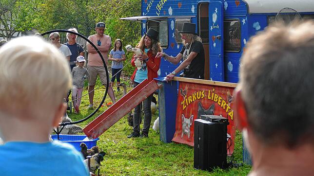 Der angeblich kleinste Zirkus der Welt, der Zirkus Liberta, begeistert die kleinen und großen Zuschauer bei der traditionellen Kirbe im ...