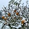 Der Schnee ist in der Region angekommen.
