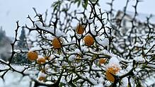 Der Schnee ist in der Region angekommen.