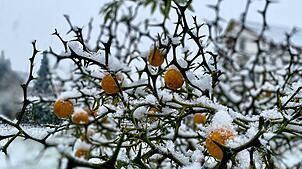 Der Schnee ist in der Region angekommen.