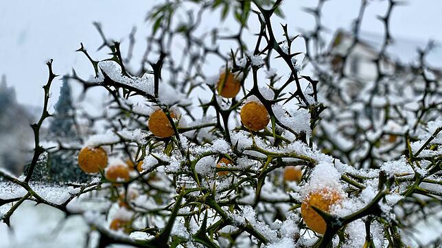 Der Schnee ist in der Region angekommen.