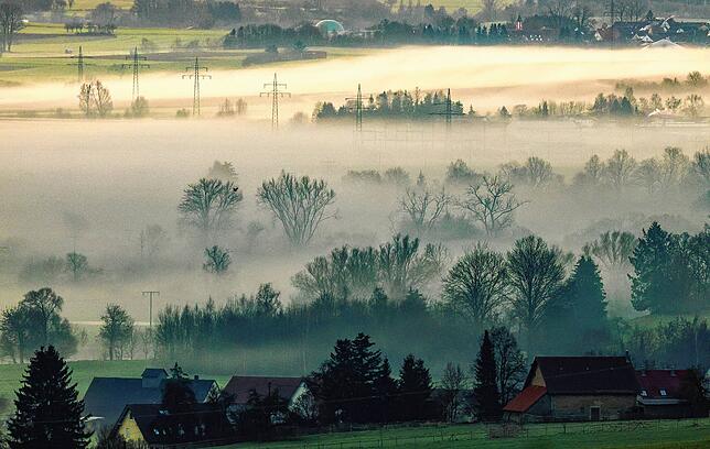 Bodennebel entlang der Donau am Morgen – ein ruhiger und malerischer Moment in der Natur.