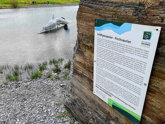 Das Modell eines Ichtyosauriers schwimmt im Schiefersee. Eine Infotafel erläutert diese Art der Fischsaurier.