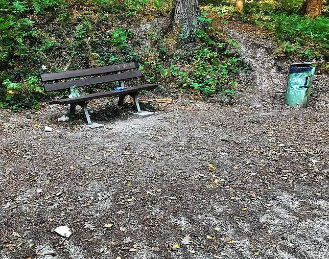 Müll liegt statt im Mülleimer daneben. Hier wurde auch die Natur achtlos verschmutzt.